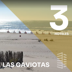 Hoteles en venta en  Las Gaviotas